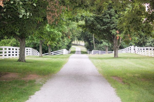 Gravel Driveway Repair