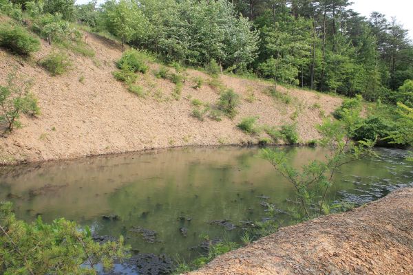 Cost of Pond Erosion Repair in Morgantown