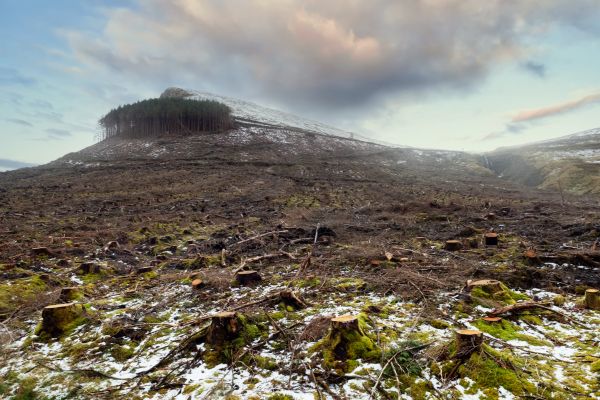 Hill Removal in Morgantown